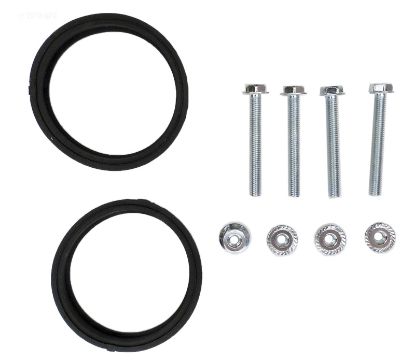 2IN WHITE VALVE REPLACEMENT SEAL KIT SANTOPRENE 2 SEALS NUTS 1002-9PB