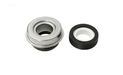 PUMP SEAL SET APCAS1000 WATERWAY 319-3100B