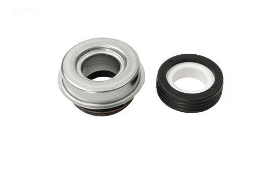 PUMP SEAL SET APCAS1000 WATERWAY 319-3100B