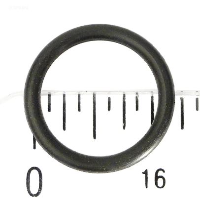 O-RING  DRAIN PLUG O25 805-0014