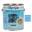 1 GAL ZERON 1 COAT EPOXY BLUE ICE OLYMPIC KELLEY PAINT 391 GALLON