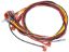WIRE/HARNESS STD. RAYPAK 005269F