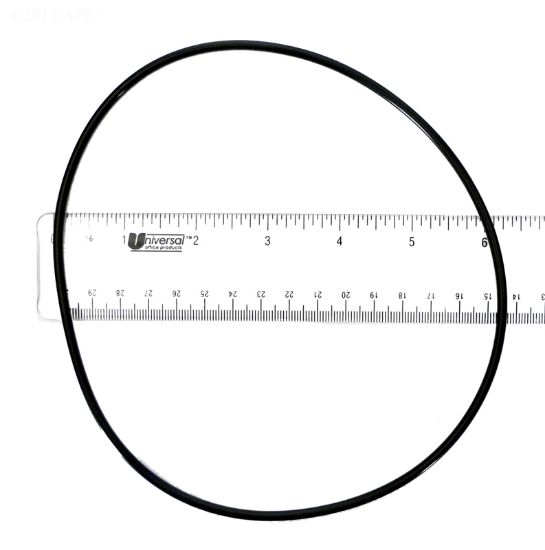 BODY O-RING 6 PAK 1/22/9426