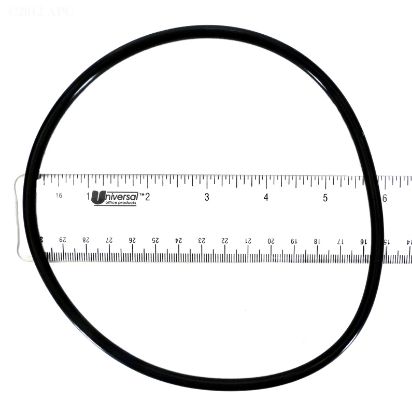 O-RING CAP IG CYCLERS XL PRO 6/CS NEW WATER POOL FROG  1/22/9926