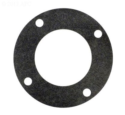GASKET STRAINER PUREX G290 70943