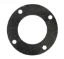 GASKET STRAINER PUREX G290 70943