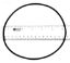 PENTAIR COVER O-RING AQ/WFE 71422