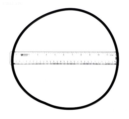 O-RING LID PUREX O88 71433
