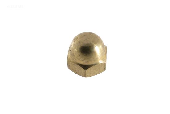 NUT-BRASS CAP 8-31 72543