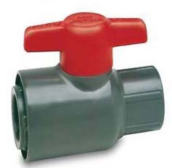 .25IN FPT PVC VALVE SPEARS WITH EPDM O-RING AND ADAPTER KIT 1529-002