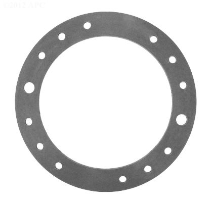 GASKET FOR CLAMPING RING BADUSTREAM SPECK 2308750005