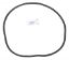 TANK O-RING 27001-0061S