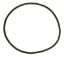 PENTAIR LID GASKET FOR EQ PUMP 350166
