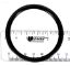 2IN O-RING 47033105R
