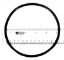COVER O-RING  JACUZZI O459 47035241R