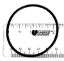 PENTAIR UNION NUT O-RING O325 51013500
