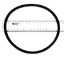 30IN METEOR CLAMP O-RING 52000500