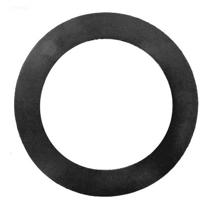 PENTAIR WALL FITTING GASKET 552406