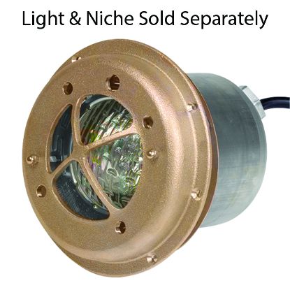 FOUNTAIN ROCK GUARD FOR SMALL NICHES PENTAIR 560003