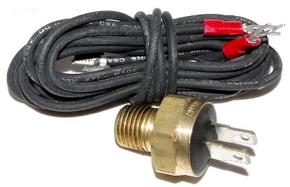 HIGH LIMIT 140 RAYPAK 600893B