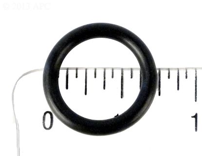 VALVE STEM O-RING FOR P/P VALVE 6020006