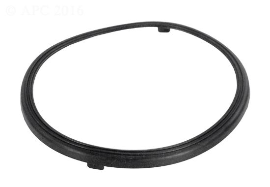 LENS GASKET AQUALUMIN 111 619599Z