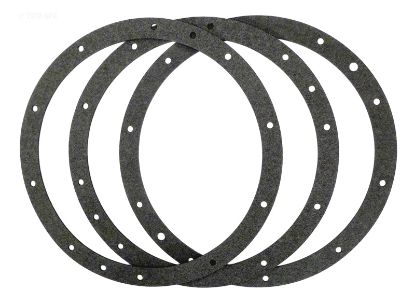 NICHE GASKETS 10 HOLE SET 3 2-79202300  1-79202400 79200400