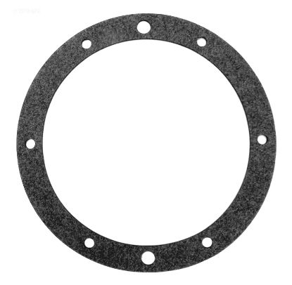 PENTAIR (AMERICAN) VINYL SPA NICHE GASKET (3 NEEDED 79204600