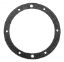 PENTAIR (AMERICAN) VINYL SPA NICHE GASKET (3 NEEDED 79204600