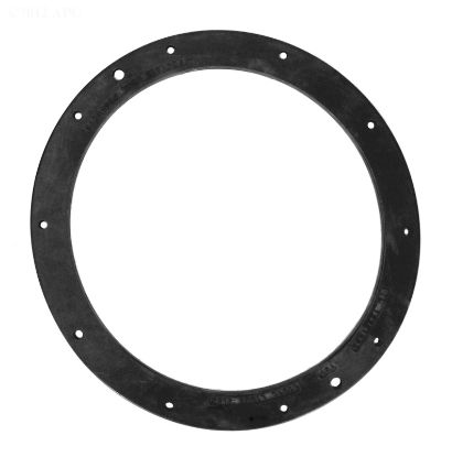 DBL WALL NICHE GASKET 10 HOLE 79207500