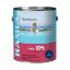 1 GAL DAMPSET PAINT TYPE DS DARK BLUE RAMUC 910130301