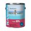 1 GAL DAMPSET PAINT TYPE DS ROYAL BLUE RAMUC 910132901
