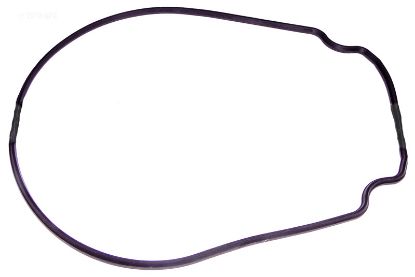 GASKET R0555900 JANDY 357102 G413 JANDY R0555900 PENTAIR / 