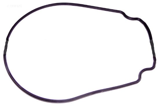GASKET R0555900 JANDY 357102 G413 JANDY R0555900 PENTAIR / 