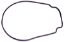 GASKET R0555900 JANDY 357102 G413 JANDY R0555900 PENTAIR / 