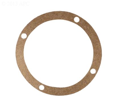 540 PUMP GASKET 353502 G6 PENTAIR / PACFAB 353502 G-6