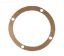 540 PUMP GASKET 353502 G6 PENTAIR / PACFAB 353502 G-6