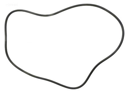 SX160Z1 TANK O-RING O339 HAYWARD SX160Z1