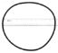 355329 PACFAB O-RING O419 PENTAIR / PACFAB 355329 STARITE /  O-419