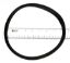 O RING LENS GASKET SUNBRITE LIGHT O492 STARITE / SWIMQUIP  O-492