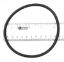 U9295 STARITE LID O-RING O15 DIACLEAR C30082 PREMIER 31346  346-7470