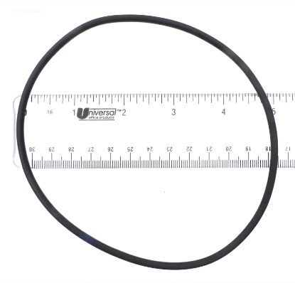 C10146 DIACLEAR O-RING O258 DIACLEAR C10146 249-7470
