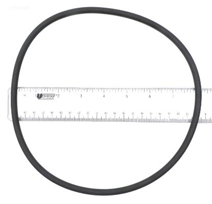 ANTHONY LENS GASKET O3 ANTHONY / KIM LENS 4447470 HAYWARD  444-7470