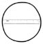 ASTRAL MICRON MEDIA FILTER O-RING 4404210302