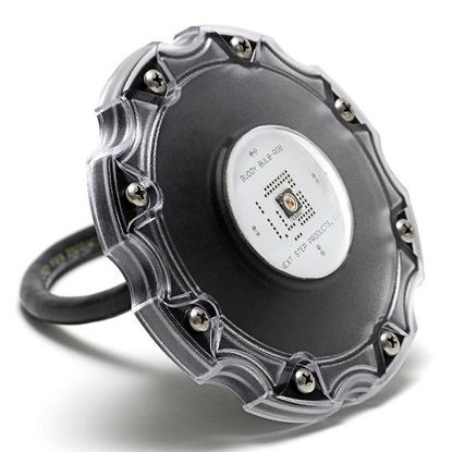 BUDDY LITE COLOR W/150' CORD BUDDY-LITE-RGB-150