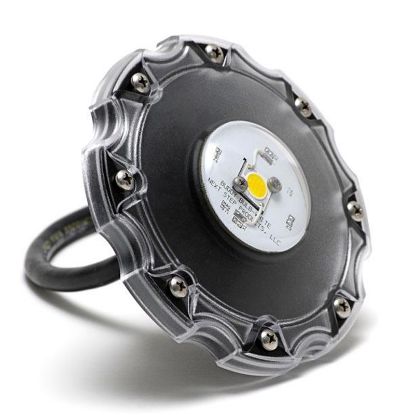 BUDDY LITE WHITE W/80' CORD DIMMABLE BUDDY-LITE-W-80