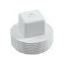 1.5IN MALE THREAD PLUG WHITE CLEAN OUT PLUG 25520-040-000