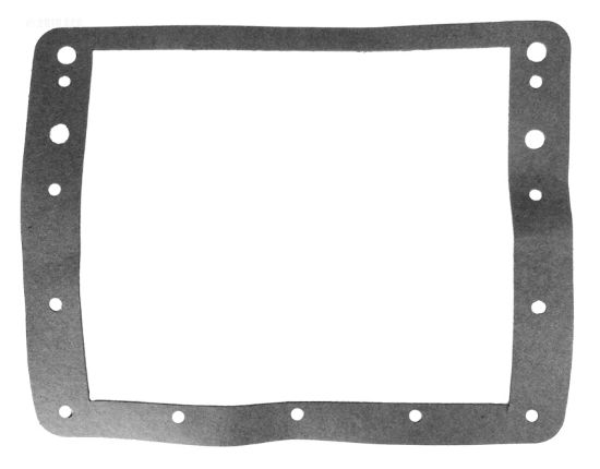 AQUAGENIE FACEPLATE GASKET H01616