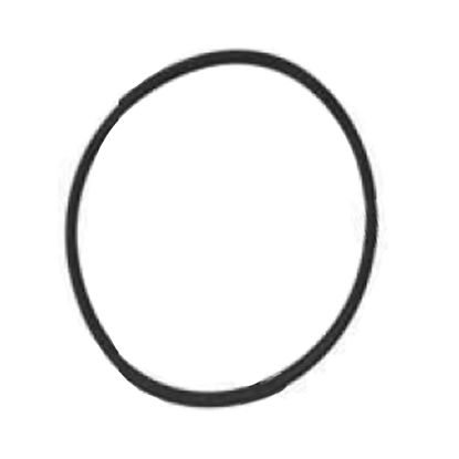 CHLORINE FEEDER O-RING 15-466-B