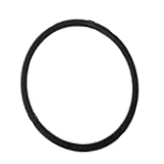 CHLORINE FEEDER O-RING 15-472-B